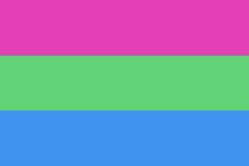 Polysexual Pride Flag