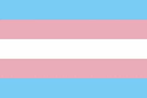 Trans Pride Flag