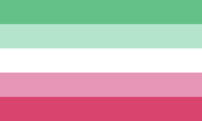 Abrosexual Pride Flag